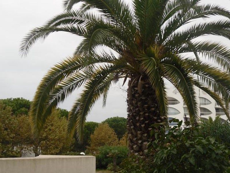 Vittoria Immobilier 9