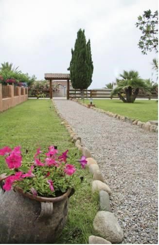 Outdoor Pictures 15
