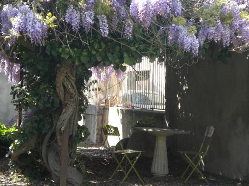 Outdoor Pictures 1
