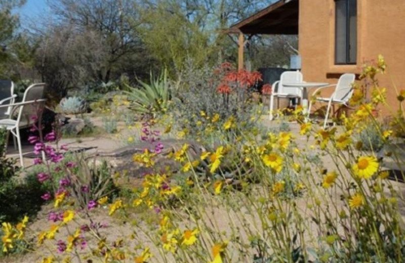 ORO VALLEY DESERT CASITA RETREAT