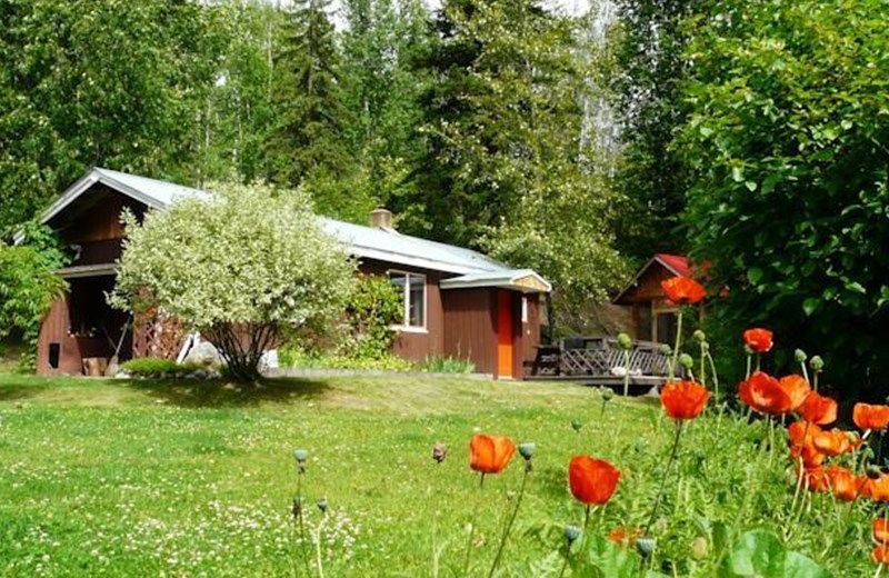 LORIEN GUEST COTTAGE