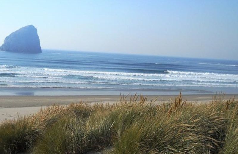 Shorepine Vacation Rentals