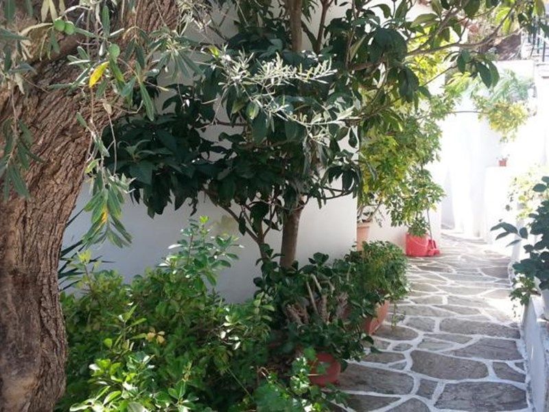 Outdoor Pictures 1