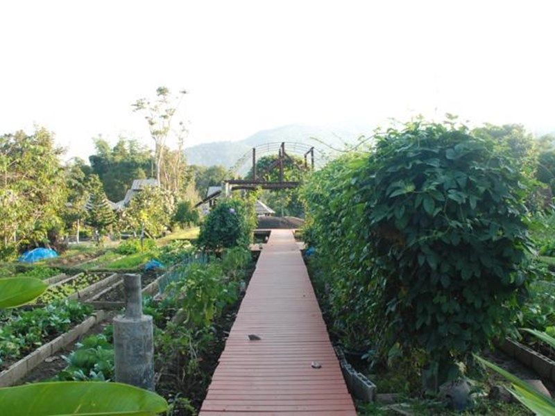 Outdoor Pictures 1