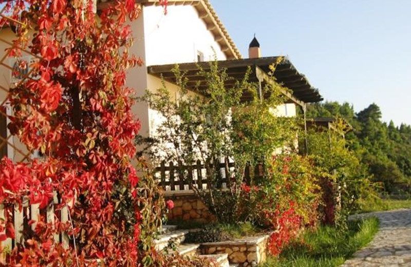 Anerada Mediterranean Houses