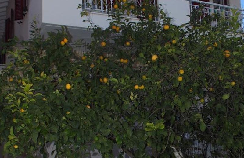 Pantazis Studios