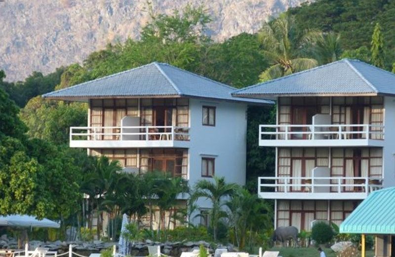 CAMELIA RESORT