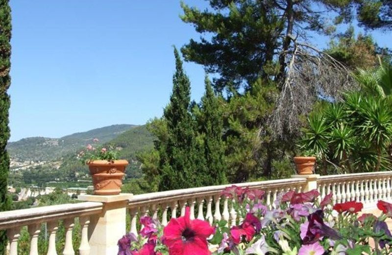 Finca El Pino