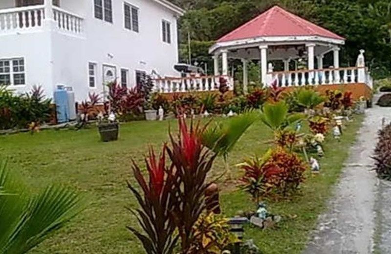 Fern Tree Bed and Breakfast