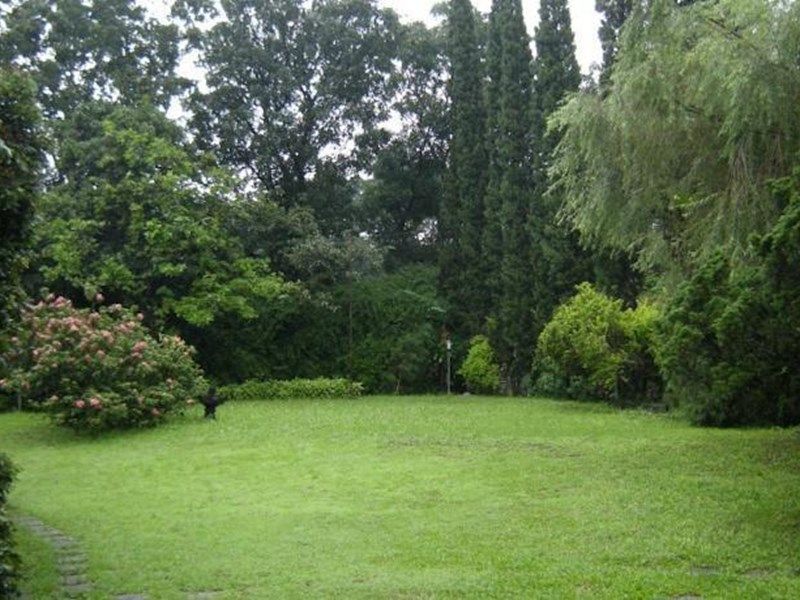 Outdoor Pictures 4