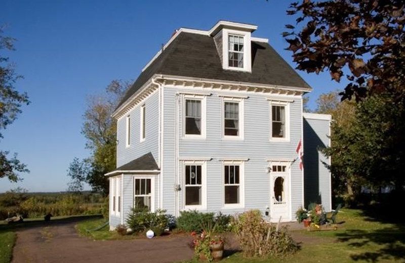 Little York Bed and Breakfast