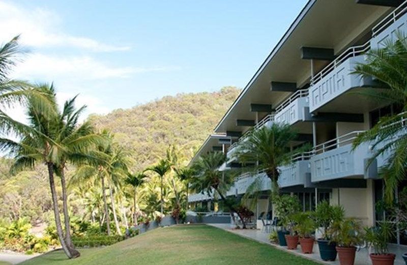 Frangipani 102