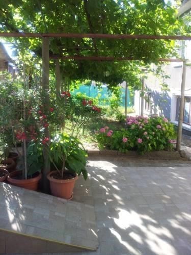 Guest House Nikolovi