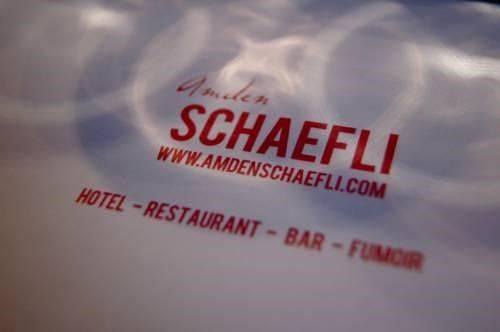 AMDEN SCHAEFLI