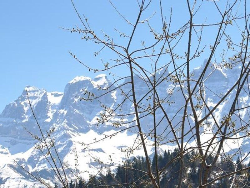 Outdoor Pictures 1