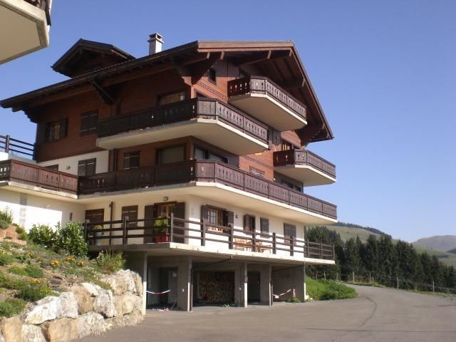 Outdoor Pictures 1