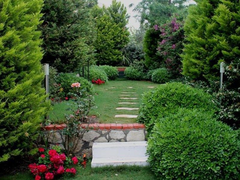 Outdoor Pictures 23