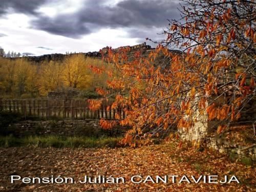Outdoor Pictures 23