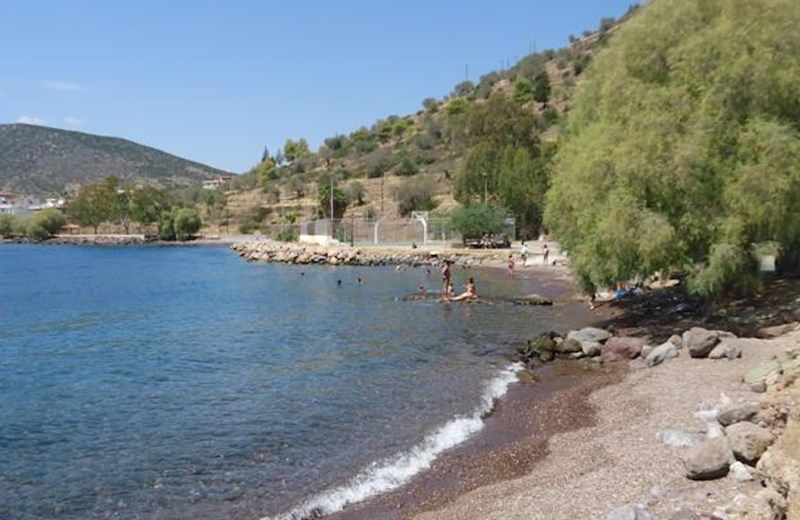 VASILEIOS DAREMAS STUDIOS