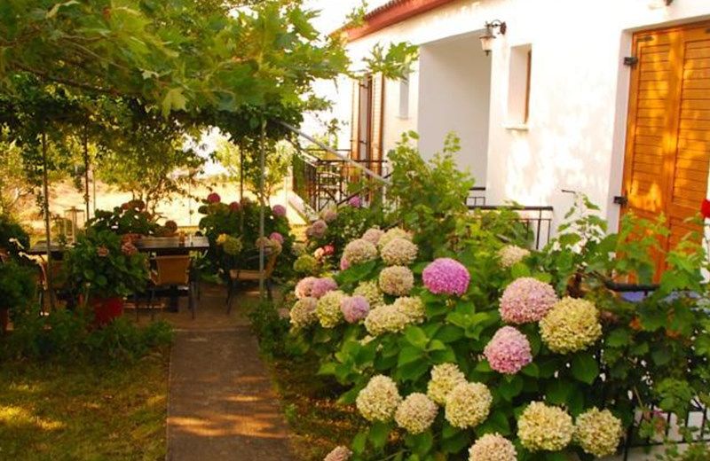 Charana Xrisi Rooms
