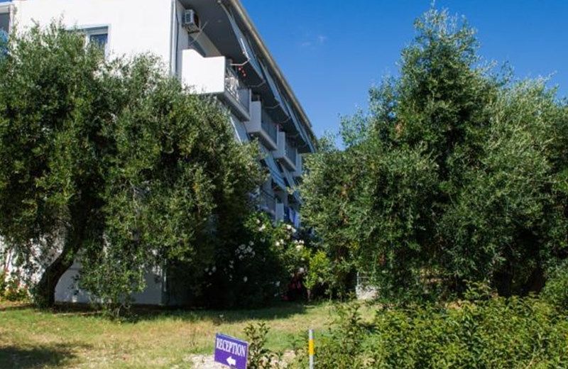 Studios Avra