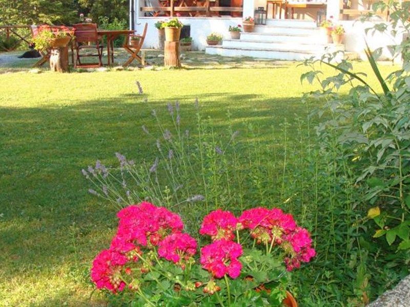 Outdoor Pictures 11