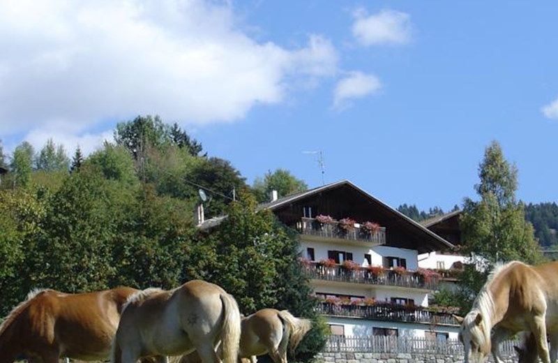 Haus Hafner