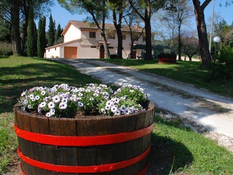 B&B Il Pozzo Fiorito