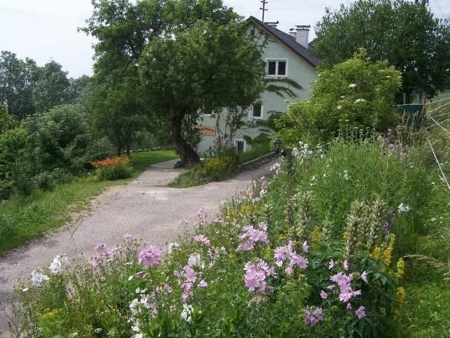 Outdoor Pictures 1