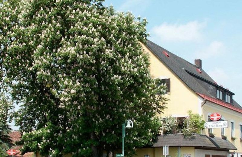 Gasthof Thaller