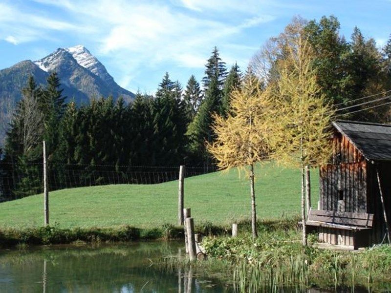 Outdoor Pictures 22