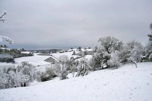 Outdoor Pictures 24