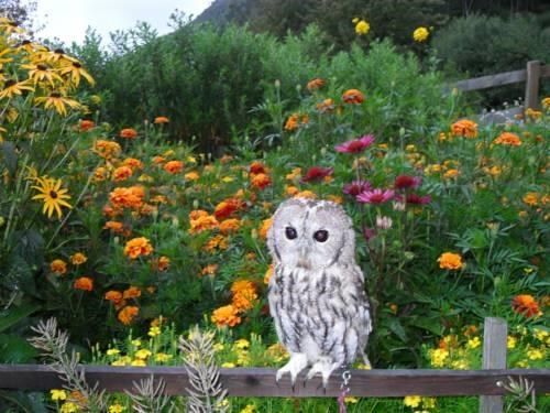Outdoor Pictures 17