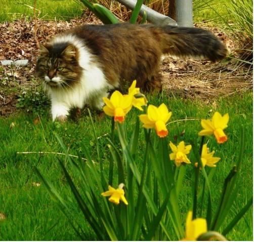 Outdoor Pictures 22