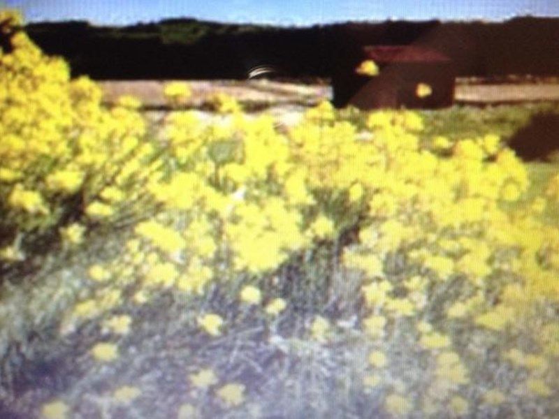 Outdoor Pictures 1