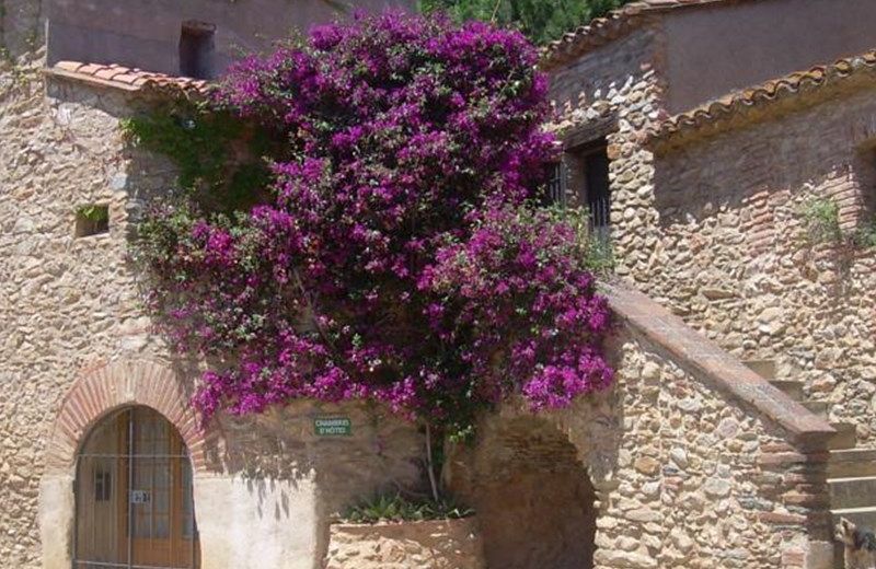 Mas Peu Del Causse