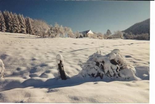 Outdoor Pictures 15