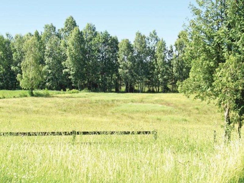 Outdoor Pictures 1