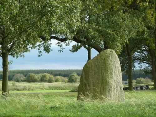 Burcht Wedde