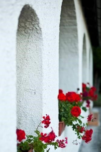 Outdoor Pictures 11