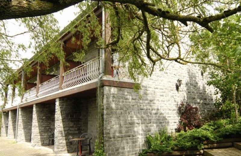 La maison de Flore