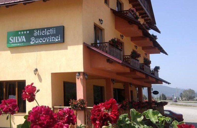 Pension Sticletii Bucovinei