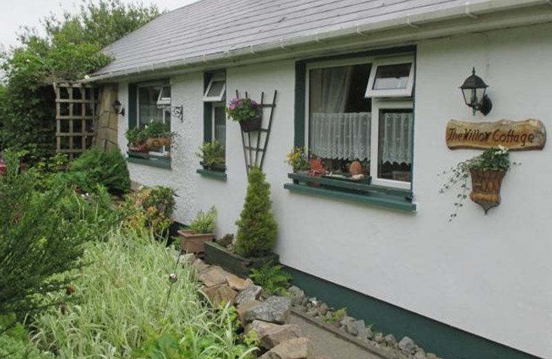 Willow Cottage Donegal B&B