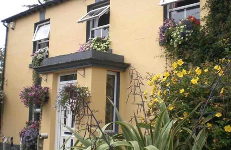 Village Bed And Breakfast Kilmessan