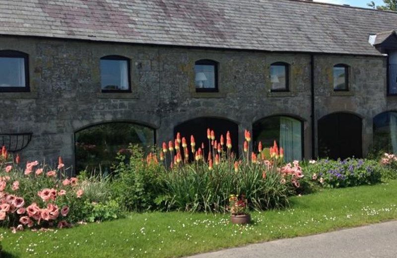 Slow Sheep B&B