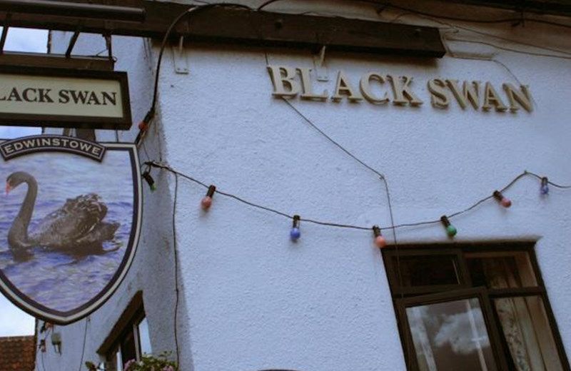 THE BLACK SWAN