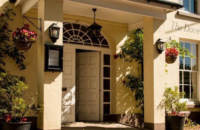 The Dove Inn