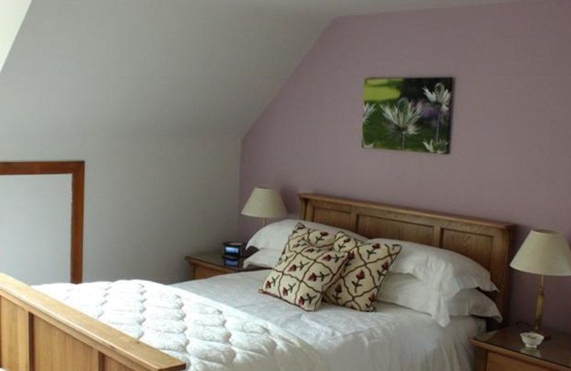 Wyvis Bed & Breakfast