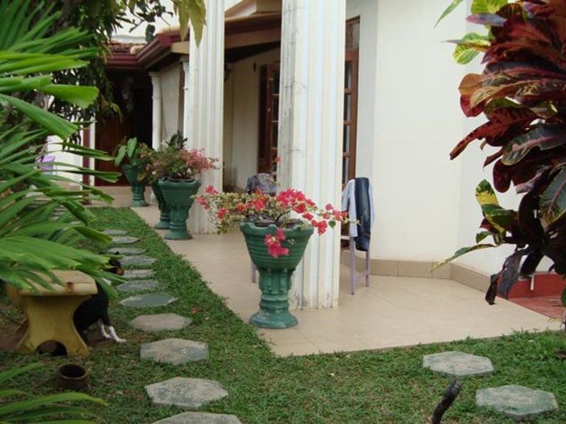 Outdoor Pictures 1