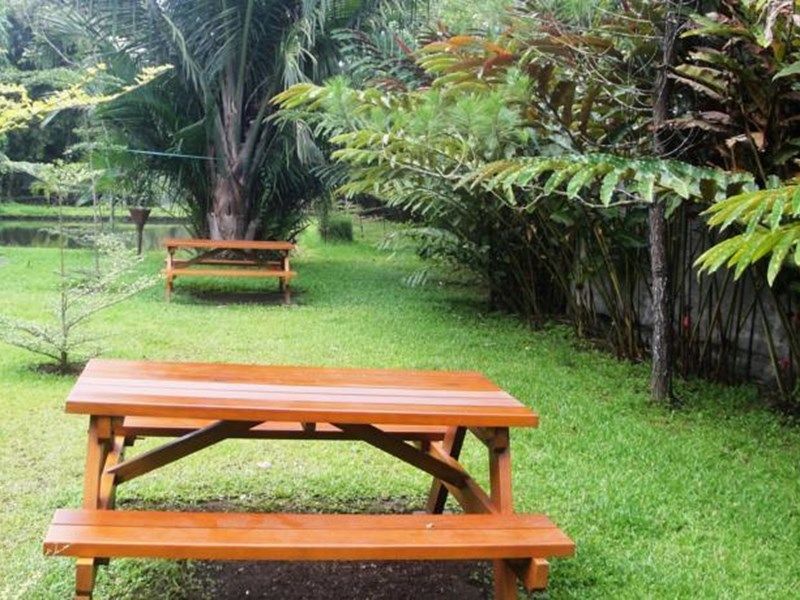 Outdoor Pictures 14